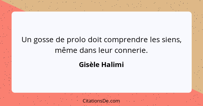 Un gosse de prolo doit comprendre les siens, même dans leur connerie.... - Gisèle Halimi