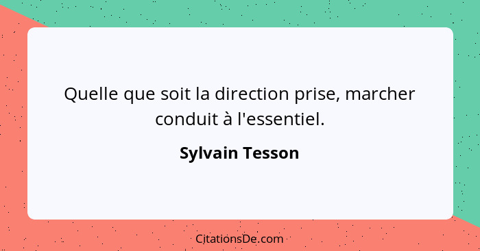Quelle que soit la direction prise, marcher conduit à l'essentiel.... - Sylvain Tesson