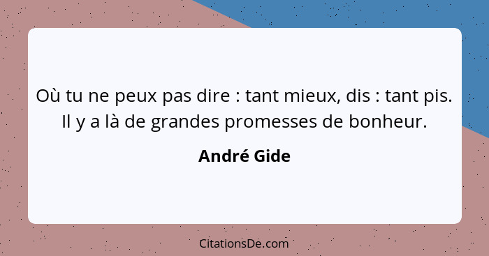 Où tu ne peux pas dire : tant mieux, dis : tant pis. Il y a là de grandes promesses de bonheur.... - André Gide