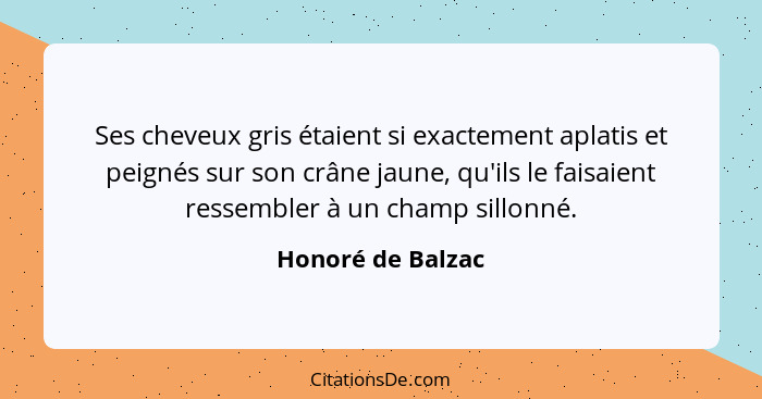 Ses cheveux gris étaient si exactement aplatis et peignés sur son crâne jaune, qu'ils le faisaient ressembler à un champ sillonné.... - Honoré de Balzac