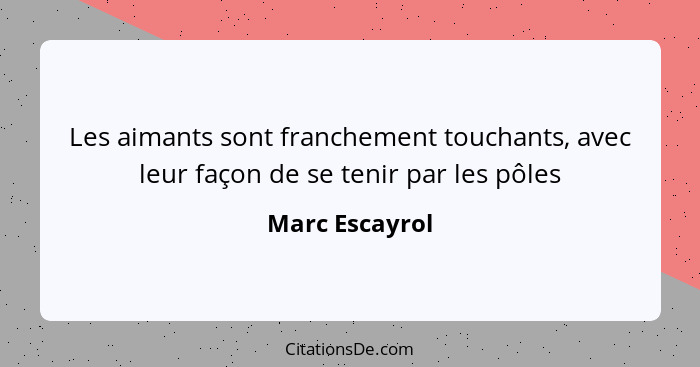 Les aimants sont franchement touchants, avec leur façon de se tenir par les pôles... - Marc Escayrol