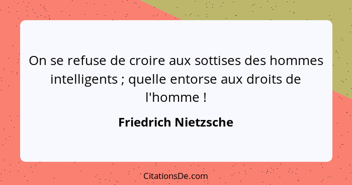 On se refuse de croire aux sottises des hommes intelligents ; quelle entorse aux droits de l'homme !... - Friedrich Nietzsche