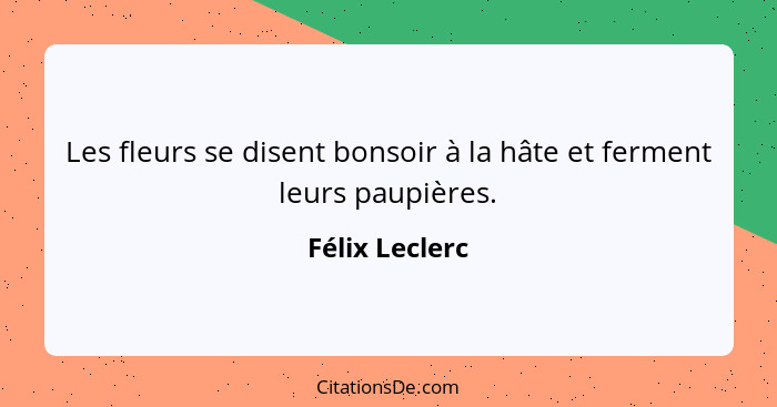 Les fleurs se disent bonsoir à la hâte et ferment leurs paupières.... - Félix Leclerc