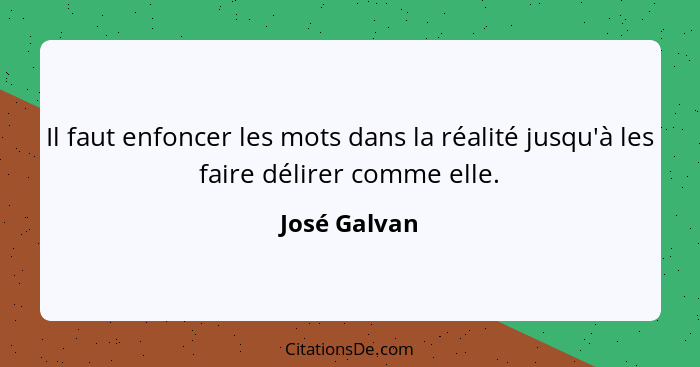 Il faut enfoncer les mots dans la réalité jusqu'à les faire délirer comme elle.... - José Galvan