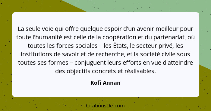 Kofi Annan La Seule Voie Qui Offre Quelque Espoir D Un Ave