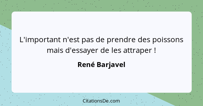 L'important n'est pas de prendre des poissons mais d'essayer de les attraper !... - René Barjavel