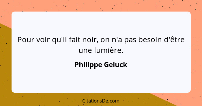 Pour voir qu'il fait noir, on n'a pas besoin d'être une lumière.... - Philippe Geluck